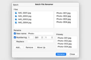 Batch File Renamer Tool
