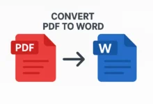 Document Converter PDF to Word