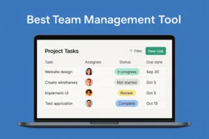 best team management tool
